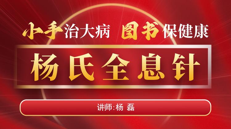 杨氏全息针中医技术班：传承博大中医精髓，理论实践并重