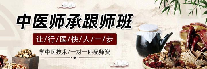 中医师承辅导课程详解：理论学习、跟师实践和专项培训全解析