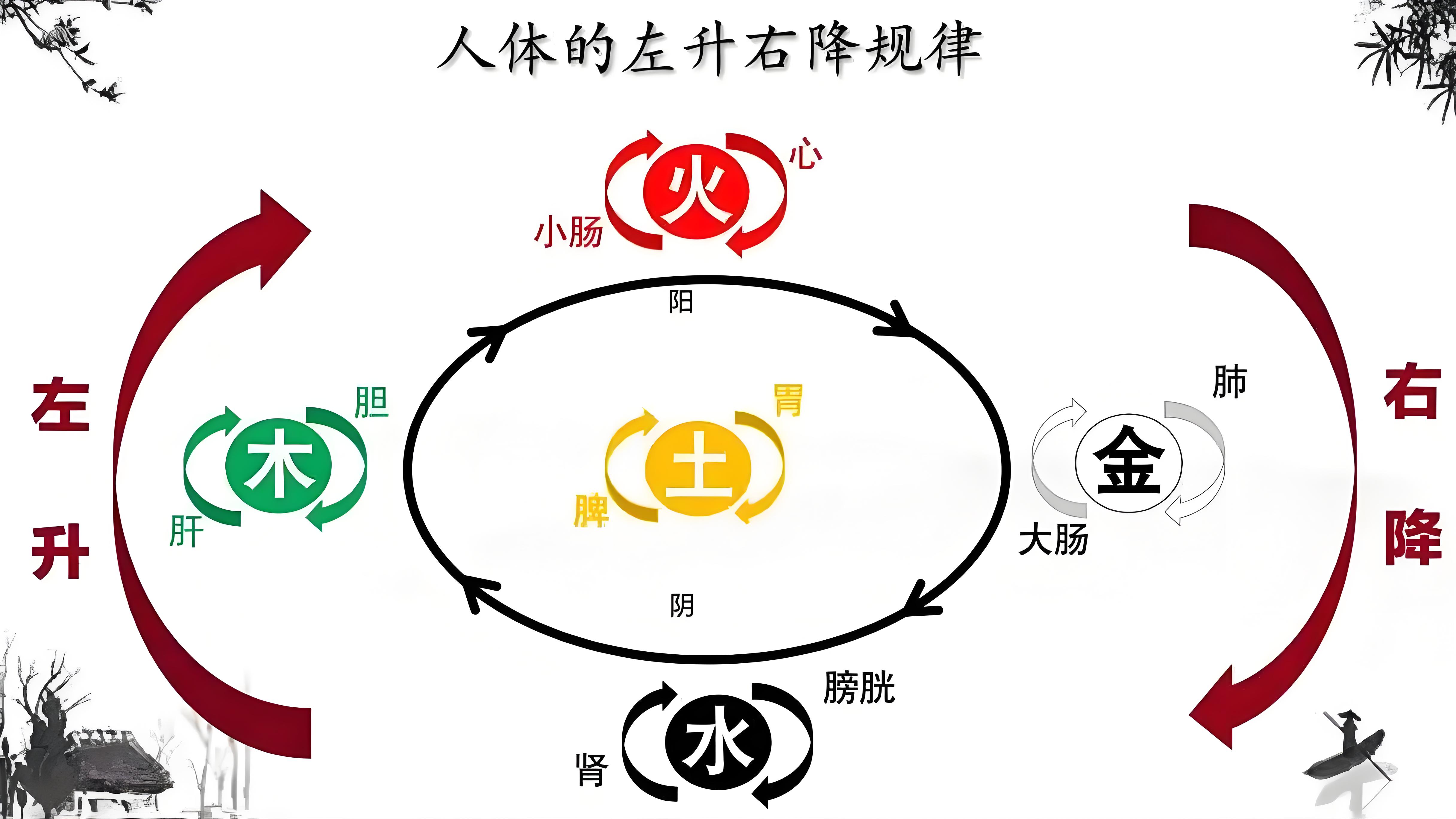 金氏五行升降中医：升降出入，大道至简！