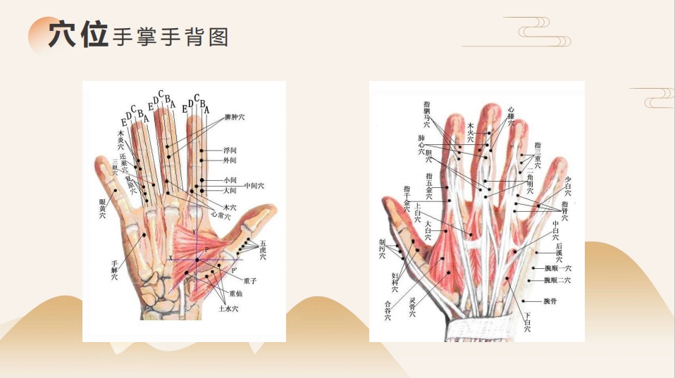 【资料领取】┃《董氏奇穴· 穴位对应图》 PDF电子书百度云盘下载