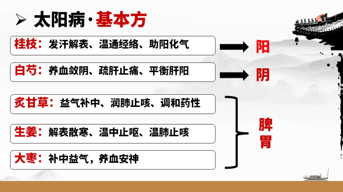 庞龙老师“实战伤寒论”课程，带你轻松通关！