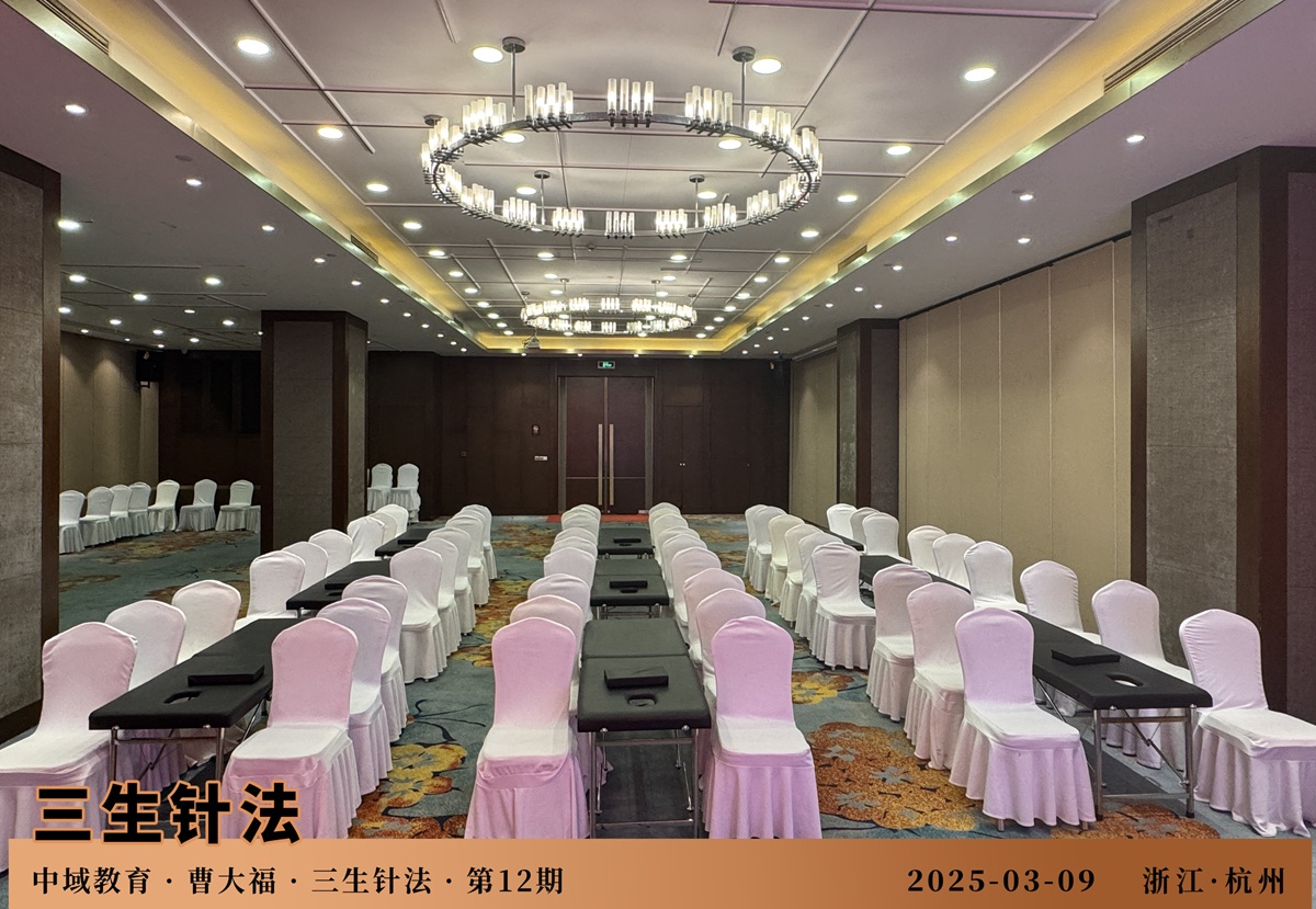 中域教育第12期三生针法学术交流会（杭州站），开课啦！